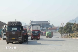 Bộ Nông nghiệp và Môi trường lập đường dây nóng giải đáp vướng mắc Nghị định 46/CP