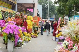 Hội tụ sắc xuân