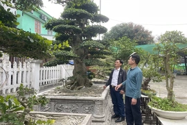 Đồng hành cùng hội viên cựu chiến binh phát triển kinh tế