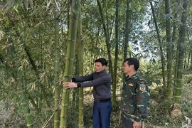 Văn Nho đưa nghị quyết vào cuộc sống