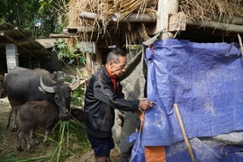 Thanh Hóa chủ động ứng phó rét đậm, rét hại, bảo vệ sức khỏe Nhân dân và sản xuất