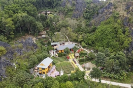 Đón Tết 2026 tại Động Tiên Sơn: Lung linh cảnh sắc, phong phú trải nghiệm