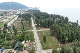 Khẩn trương kiểm tra, xử lý thông tin phản ánh của báo chí về tình trạng “đất vàng bỏ hoang”