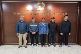 Khởi tố, bắt giam 5 đối tượng mua bán, vận chuyển lợn dương tính với dịch tả lợn Châu Phi