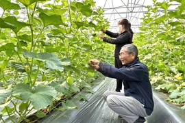 “Quyết tâm gấp mười lần và hành động gấp trăm lần” vì hạnh phúc Nhân dân (Bài 1): “Hành động” để mọi người dân đều “nhìn được, thấy được kết quả”