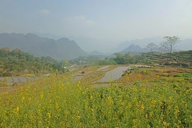 Mùa nước đổ phía trên cổng trời