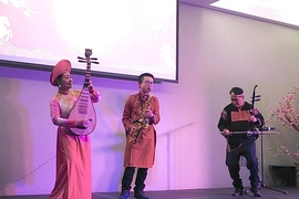 Ấn tượng chương trình “Xuân Quê hương-Bính Ngọ 2026” lần đầu tiên ở Ireland