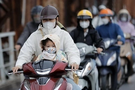 Chủ động ứng phó với rét đậm, gió mạnh trên biển và các tình huống thiên tai trong dịp Tết Nguyên đán