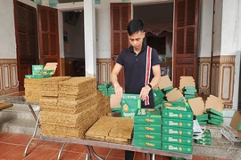 Từ làng quê Thanh Hóa ra thế giới: Sản phẩm “xanh” của tuổi trẻ