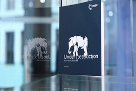 Munich 2026: Khi châu Âu thôi “đi nhón chân” trước Mỹ