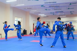 Thể thao Thanh Hóa tự tin, vững bước trong năm 2026