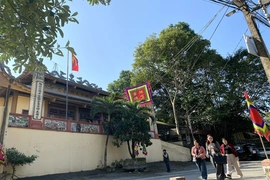 Xuân trên miền di tích