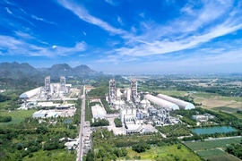 Xi măng Long Sơn giữ vững thị trường trong nước, đẩy mạnh xuất khẩu