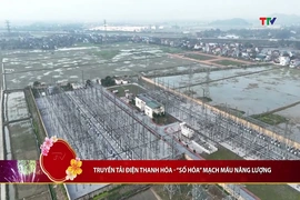 Bản tin Thời sự tối 21/2/2026:&nbsp;Truyền tải điện Thanh Hóa - “số hóa” mạch máu năng lượng