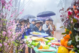 Du khách tấp nập hành hương về Am Tiên đầu xuân Bính Ngọ