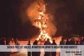 Nhật Bản rộn ràng lễ hội dân gian đón Xuân