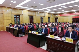 Gặp gỡ, triển khai tiếp xúc cử tri và vận động bầu cử ĐBQH khóa XVI, HĐND tỉnh khóa XIX