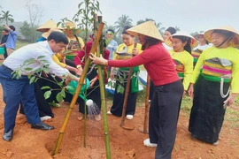 Phụ nữ trong tỉnh hưởng ứng Tết trồng cây đầu xuân