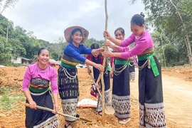 Sôi nổi phong trào “Tết trồng cây đời đời nhớ ơn Bác Hồ” xuân Bính Ngọ 2026