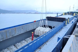 Nhộn nhịp trên cầu cảng