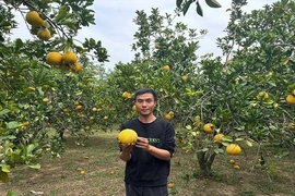 Khát vọng khởi nghiệp trên vùng đất khó