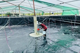 Sẵn sàng cho vụ nuôi trồng thủy sản xuân hè 2026