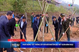 Bản tin Thời sự tối 23/2/2026:&nbsp;Lễ phát động “Tết trồng cây đời đời nhớ ơn Bác Hồ” Xuân Bính Ngọ