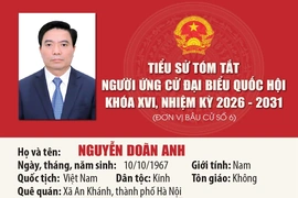 [Infographics] Tiểu sử ứng cử viên Đại biểu Quốc hội khóa XVI Nguyễn Doãn Anh