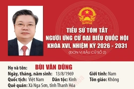 [Infographics] Tiểu sử ứng cử viên Đại biểu Quốc hội khóa XVI Bùi Văn Dũng