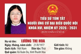 [Infographics] Tiểu sử ứng cử viên Đại biểu Quốc hội khóa XVI Lương Thị Hoa
