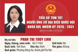 [Infographics] Tiểu sử ứng cử viên Đại biểu Quốc hội khóa XVI Phan Thị Thùy Linh