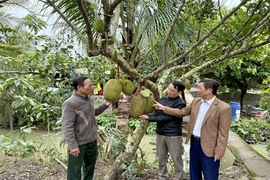 Người cao tuổi xã Thiệu Trung&nbsp;phát huy vai trò tuổi cao - gương sáng