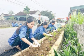 Tuổi trẻ hưởng ứng “Tết trồng cây đời đời nhớ ơn Bác Hồ”