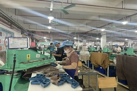 Vững đà tăng trưởng từ hiệu quả quản trị và sản xuất