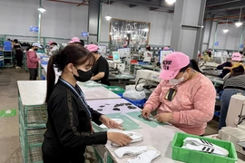 Thúc đẩy phong trào “Xanh - sạch - đẹp,&nbsp;bảo đảm an toàn vệ sinh lao động”