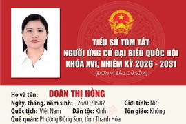 [Infographics] Tiểu sử ứng cử viên Đại biểu Quốc hội khóa XVI Doãn Thị Hồng