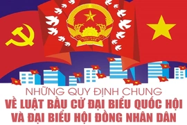 [Infographics] Những quy định chung về Luật bầu cử đại biểu Quốc hội và đại biểu Hội đồng nhân dân
