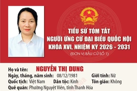 [Infographics] Tiểu sử ứng cử viên Đại biểu Quốc hội khóa XVI Nguyễn Thị Dung