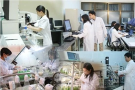 Thanh Hoá ban hành kế hoạch xét tặng Giải thưởng Khoa học và Công nghệ năm 2026