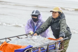 Lặng lẽ mưu sinh nơi cửa biển: Khi ngày 8/3 trôi qua như bao ngày khác