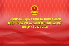 [Infographics] Hướng dẫn quy trình bỏ phiếu bầu cử ĐBQH khoá XVI và đại biểu HĐND các cấp nhiệm kỳ 2026-2031
