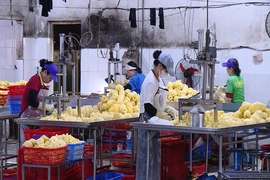 Xung đột Trung Đông: Doanh nghiệp Thanh Hóa lo đối diện nhiều khó khăn