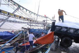 Ngư dân linh hoạt thích ứng trước “bão giá” của xăng dầu