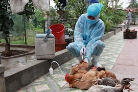 Giải pháp tối ưu&nbsp;phòng, chống dịch bệnh