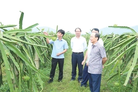 HĐND tỉnh Thanh Hóa khóa XVIII:&nbsp;Trách nhiệm, đổi mới, chuyên nghiệp, hiệu quả