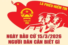 [Infographics] Ngày bầu cử 15/3/2026 - Người dân cần biết gì