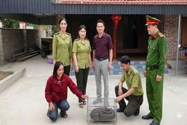 Bàn giao cá thể trăn đất quý hiếm về rừng