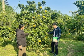 Chuyển đổi số góp phần hướng tới tài chính toàn diện và giảm nghèo bền vững