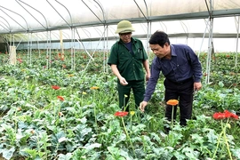 Lan tỏa phong trào dân vận khéo ở xã Triệu Sơn