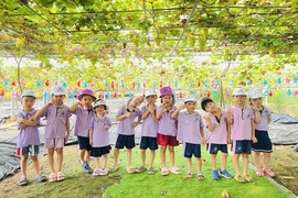 Xanh lên khát vọng (Bài 1):&nbsp;Thức dậy những... mầm xanh